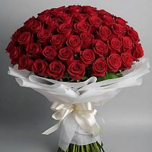 Букет 101 Красная роза Блэк Мэджик в Алексеевске
