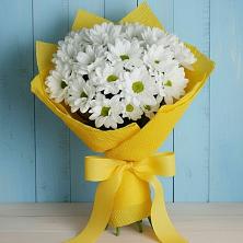 Букет цветов из:  Хризантемы в Алексеевске