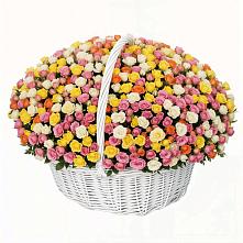 Премиум букет из: Розы в Алексеевске