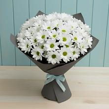 Букет цветов из:  Хризантемы в Алексеевске