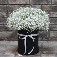 Цветочная композиция из Гипсофила в шляпной коробке в Алексеевске